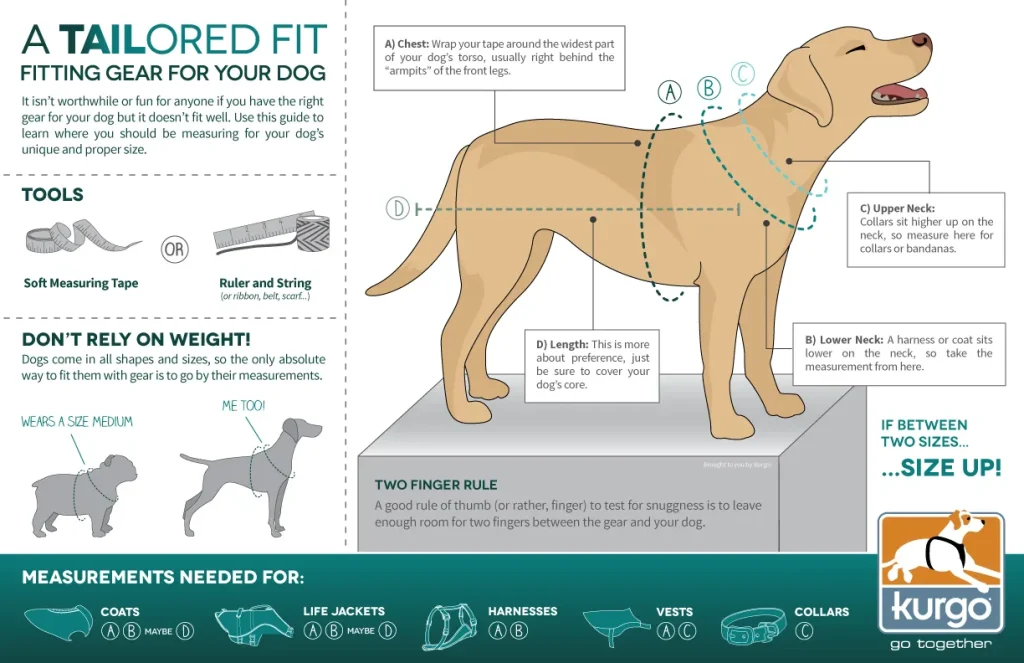 Dog Measurements
